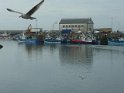 2011-09-26 11-43-06 Port de St Guenole FGn
